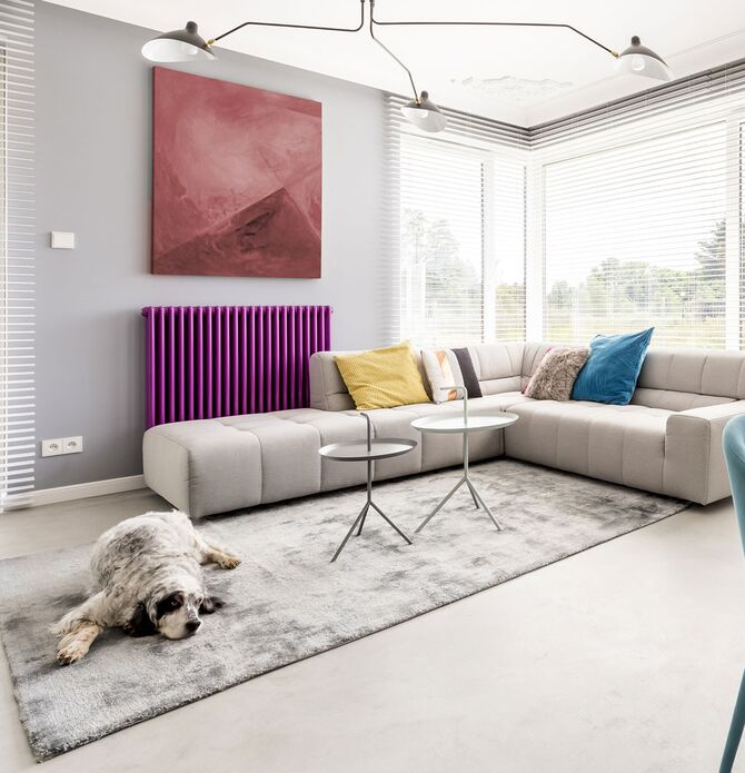 Student house living room